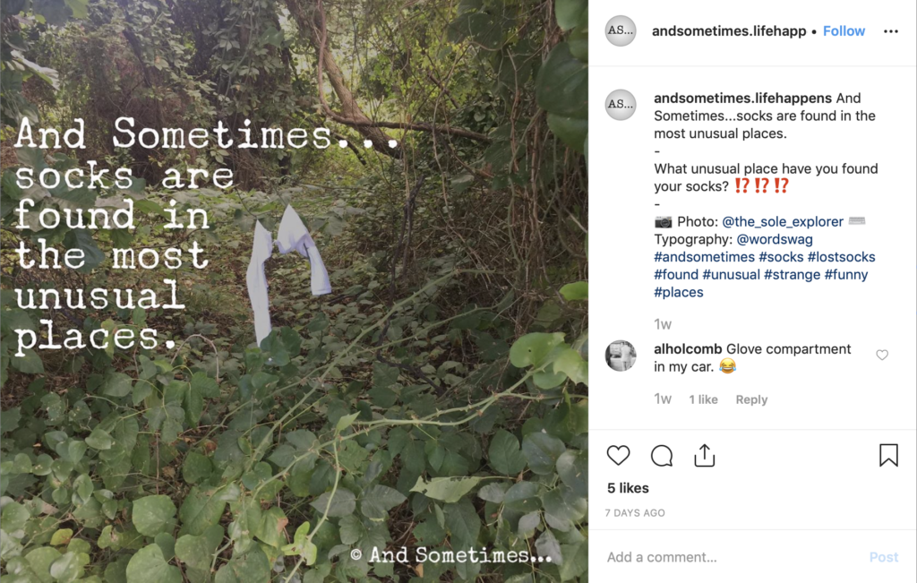 socks hanging in the forest